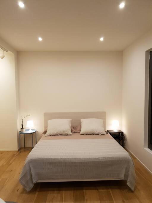 Experience The Loft! Loft 18, Downtown, Near The Lake Free Parking Available Lugano Eksteriør bilde